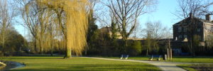 Landscape shot of Laurel Acres Park.