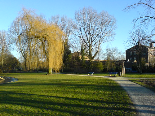 Landscape shot of Laurel Acres Park.