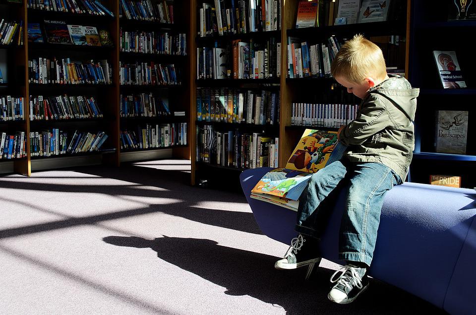 Small boy reading a book in a library.