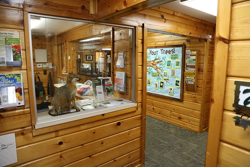 Display from the Stillman Nature Preserve center.