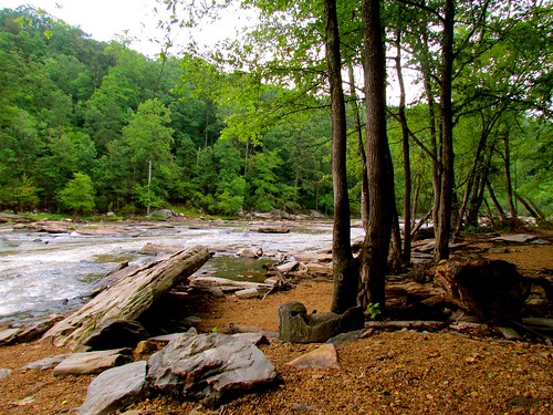 Landscape shot of Sweetwater creek state park. Flowing water ina river with trees on the bank.