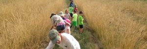 Group of volunteers picking flowers on a grassy trail.