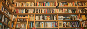 Image of a book shelf at a Alpharetta, GA library.
