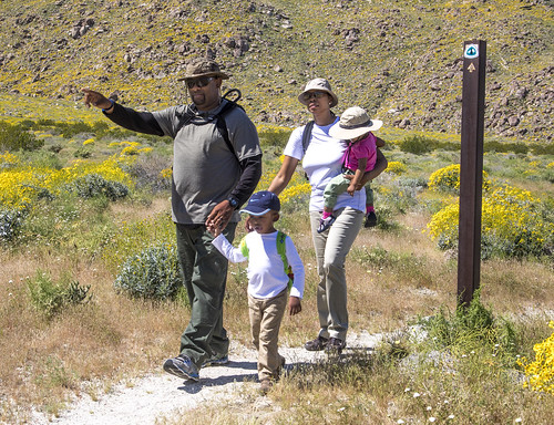 Family hiking in Chandler, AZ.