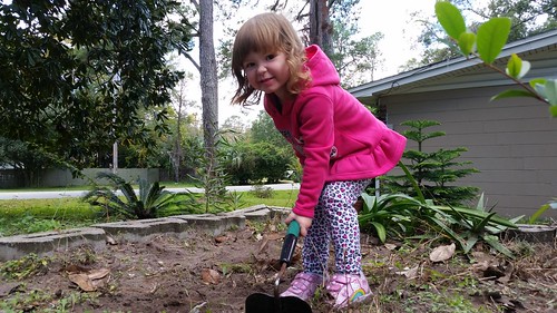 Image of a small girl shoveling dirt in a garden.