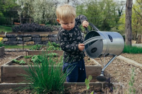 Child watering a low maintenance garden in Carmel, IN.
