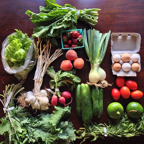 Image of a CSA food box from Duluth, GA
