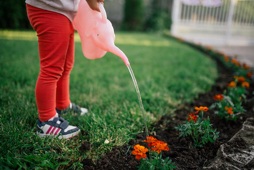 Image of a young girl watering a garden in the Woodlands, TX.