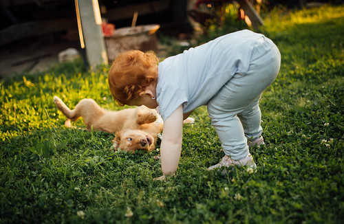 Small baby plays with a small golden retriever puppy.