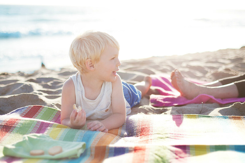 A child eating cookies on a blanket on a picnic at a beach near Maple Grove, MN
