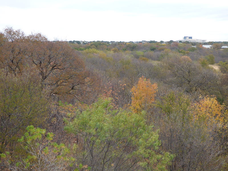 Arbor Hills Nature Preserve, seen from above, showcasing colorful trees in Autumn in Plano, TX
