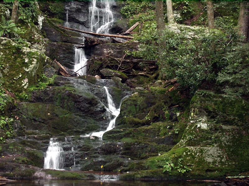 A waterfall in a forest at Buttermilk Falls near Bridgewater, NJ
