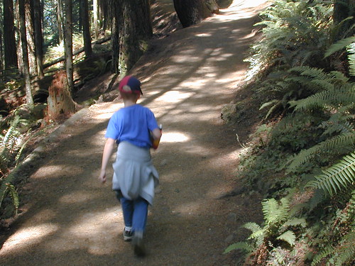 A Child Walking On A Nature Path