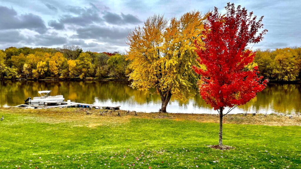 A colorful park with trees and a lake in Fall in South Barrington, IL