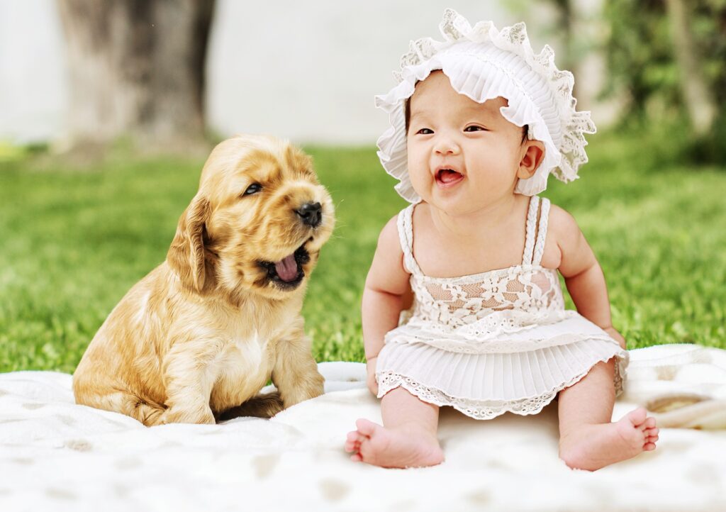 A cute puppy with a cute infant on a blanket in a park in Chandler, AZ.