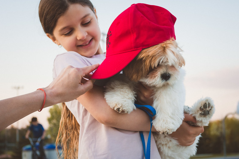A child holding a dog wearing a red hat in Leawood, KS
