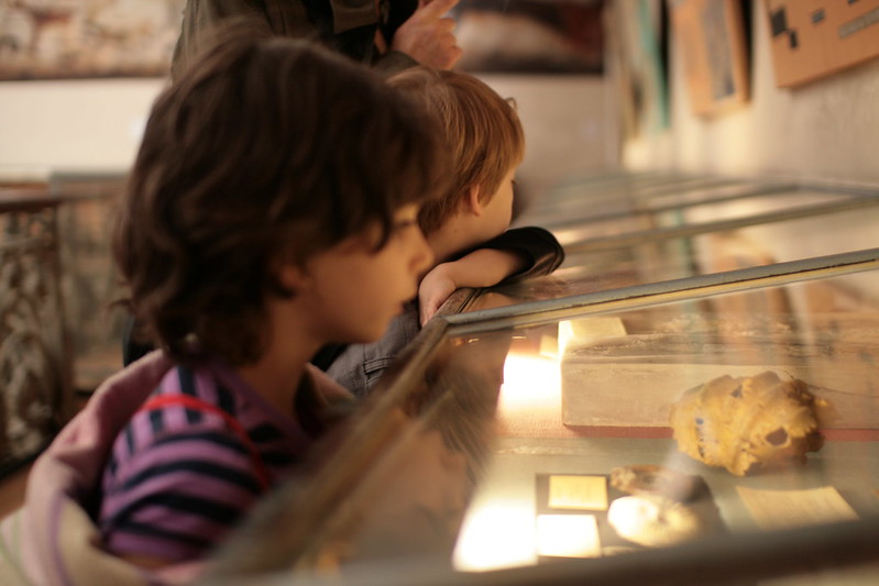 Children looking at fossils at the Dupage Children's Museum near Westmont, IL