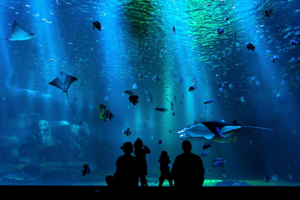 An aquarium as a family-friendly party venue in Mesa, AZ