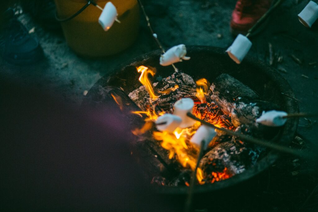 Roasting marshmallows over a campfire at a campground near Chicago, IL
