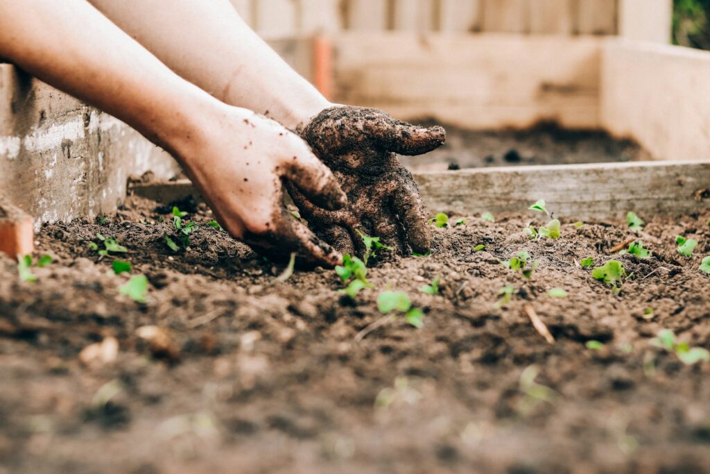 A gardener with their hands in the dirt inn Woodbridge, VA