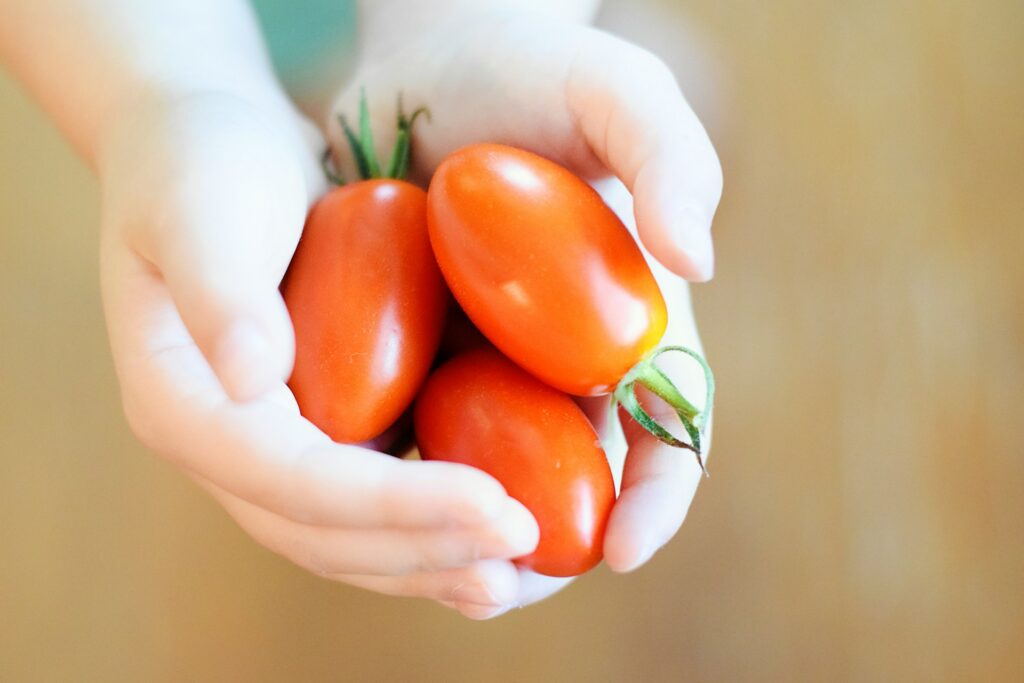 A child holding a few fresh tomatoes in Marietta, GA