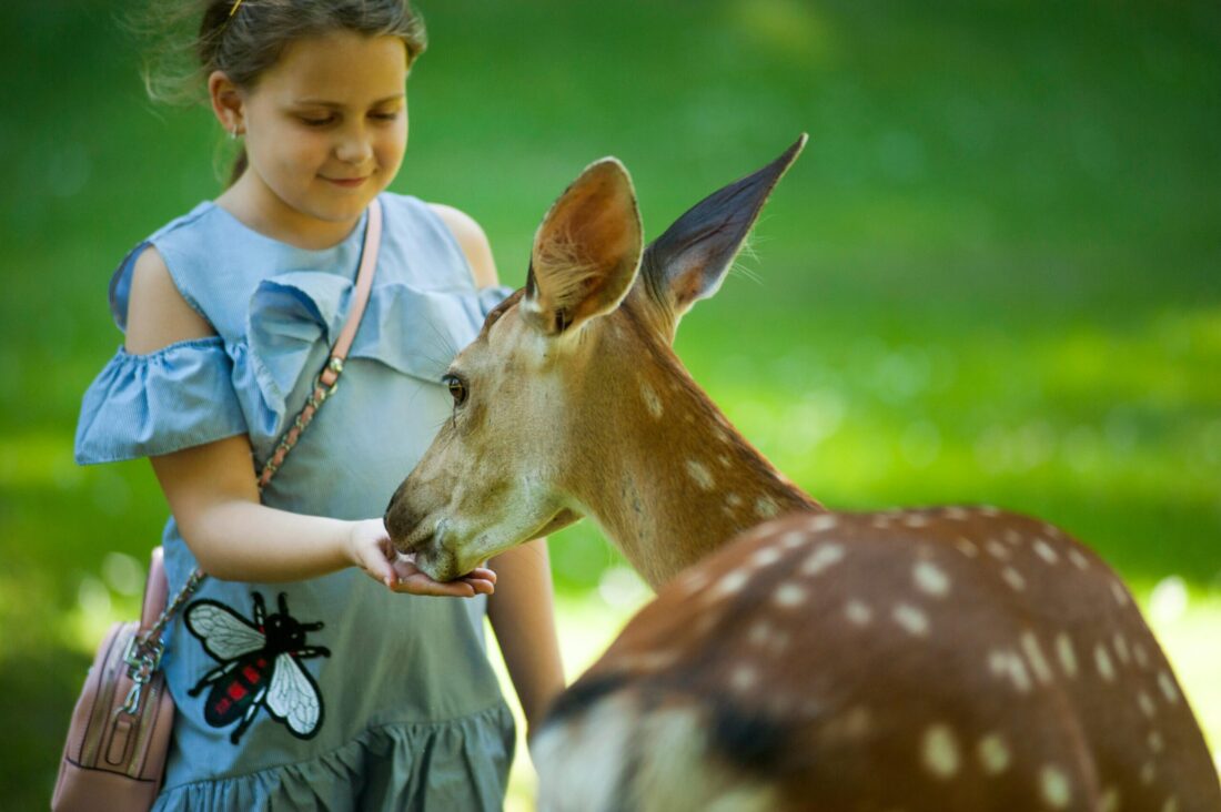 Exploring Wildlife Wonders Around Mason, OH