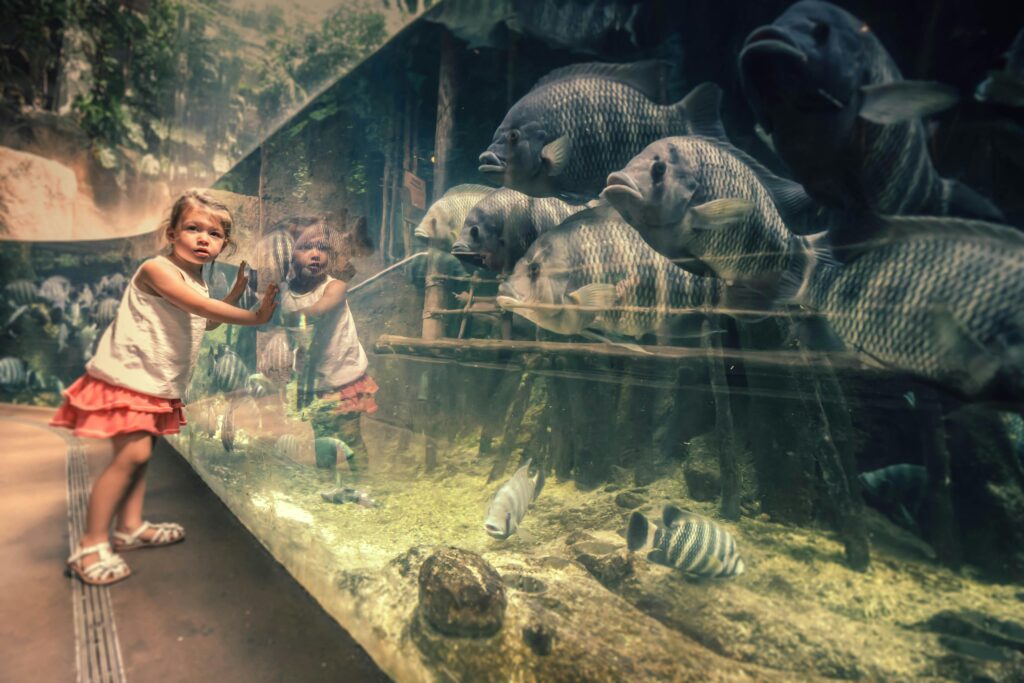 Girl looking into aquarium of fish