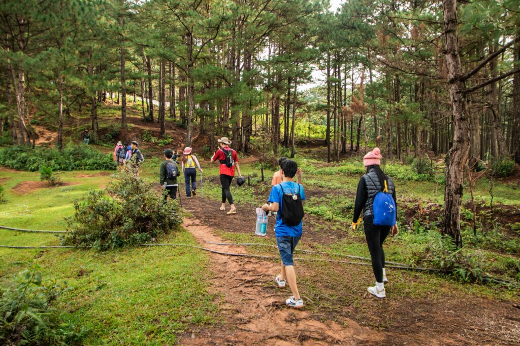 People walking on hiking trails