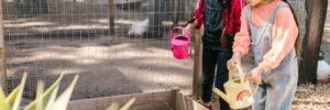 Two Young Girls Using Watering Cans for Gardening